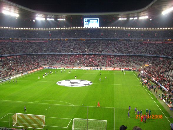 Champions League     Bayern-Florenz - 