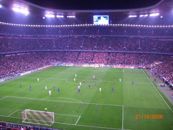 Champions League     Bayern-Florenz - 