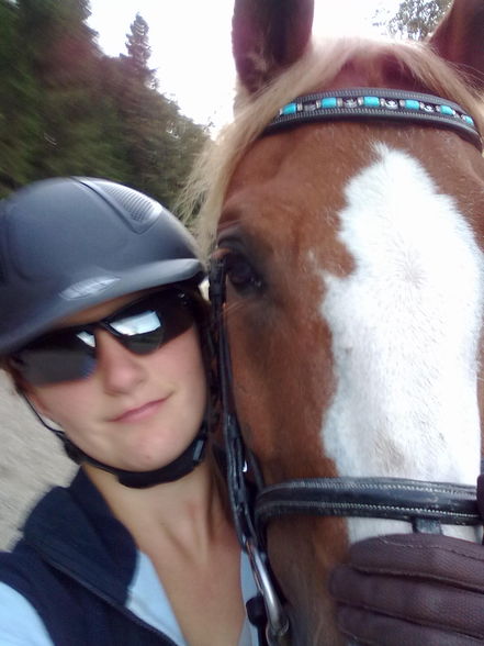 Dumble und i bam reiten!" - 