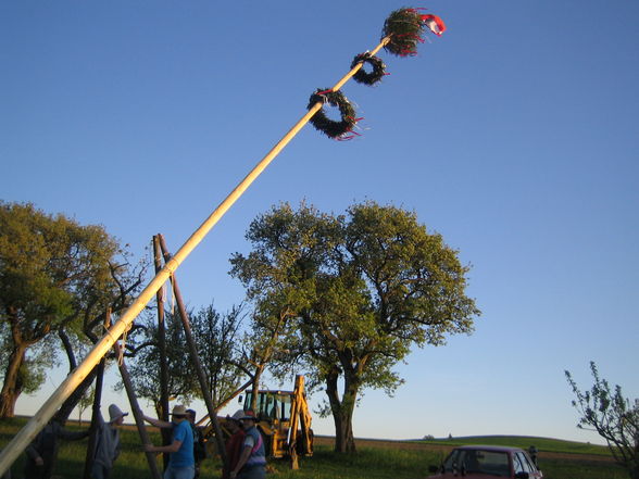 Maibaumaufstellen 2007 - 