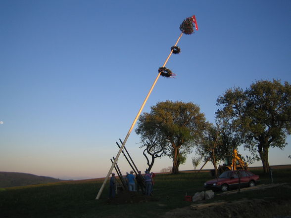 Maibaumaufstellen 2007 - 