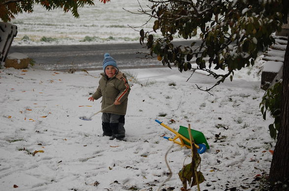 Es hat geschneit und das im Oktober - 