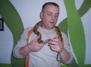 Meine boa constrictor imperator - 