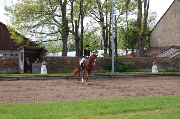 Wiener Landesmeisterschaft 2010 - 