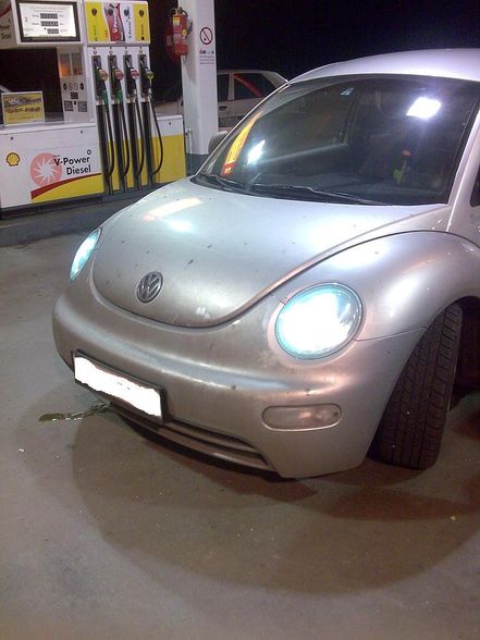 Volkswagen Beetle - 