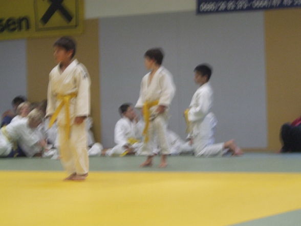 Judo - 