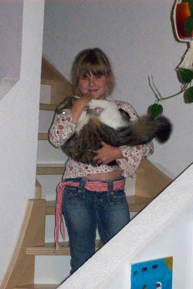 Alles was ich mag  - 