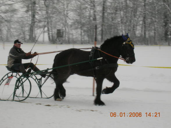 Poly- Freinds und Ich - 