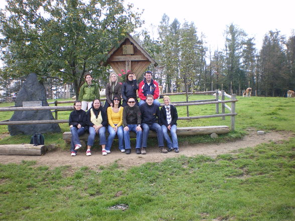 Süß on Tour 2009 - 