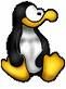 Meine Pinguine - 