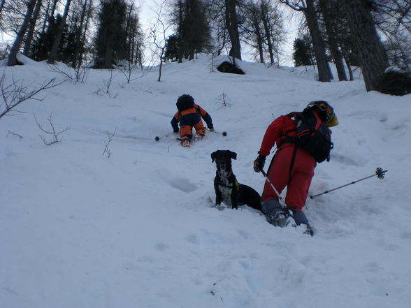 Suchhundeeinsatz am Krippenstein 09 - 