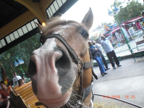 Wiener Prater !!!!!! - 