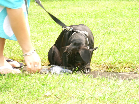 BaDeN mIt Da LuNa - 
