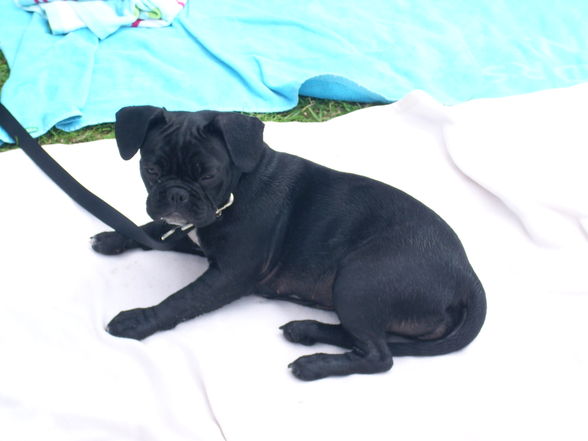 BaDeN mIt Da LuNa - 