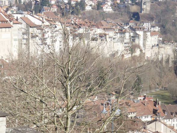 Fribourg 2008 - 