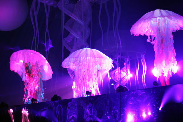 Sensation White @ WIEN - 