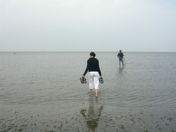 Nordsee 2004 - 