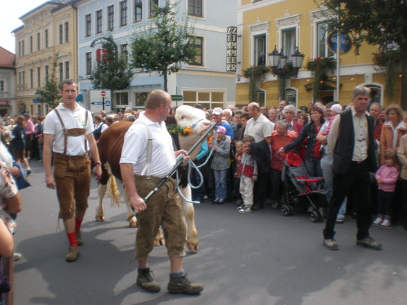 Erntedankfest Rohrbach - 