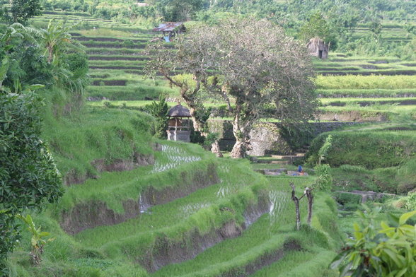 Bali and around - 