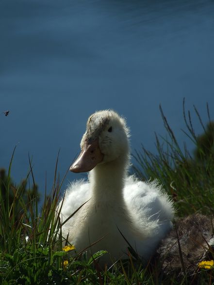 Meine Fotos - 