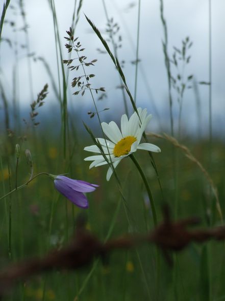 Meine Fotos - 