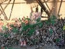 SK Rapid Wien mein Verein - 