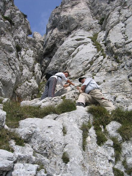 rauf auf den berg - 