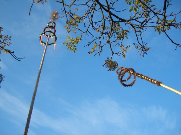 Maibaum umlegn und auslösen  - 