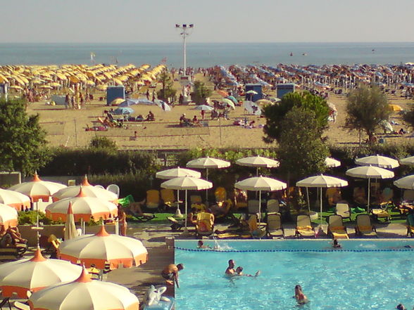 | BIBIONE O9 - 