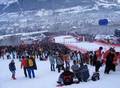 Hahnenkamm 2006 Ma woa i zua!!!!! - 