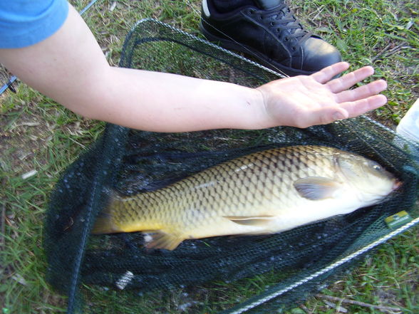 Für Fischerfreunde - 