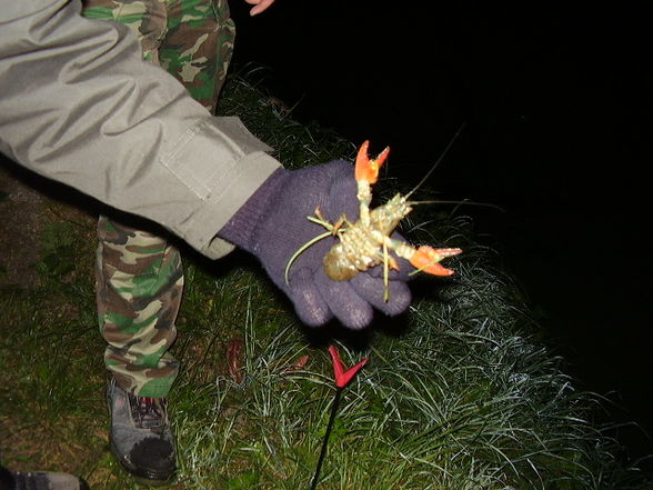 Nachtfischen in Schlüsslberg City - 