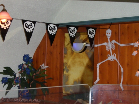 Halloween-Party in Pub Grein - 