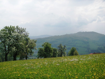 Bergsteigen / Wandern - 