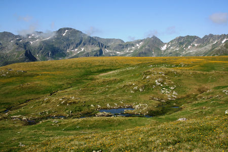 Bergsteigen / Wandern - 