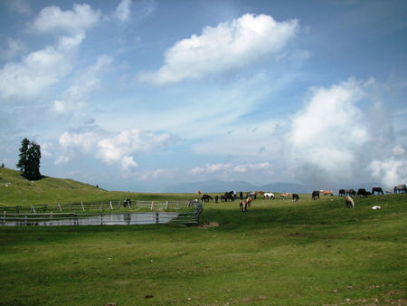 Urlaub in Kärnten am Faaker See - 