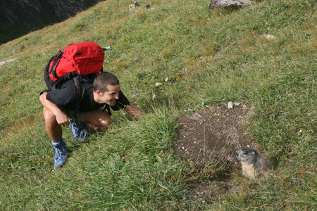 Bergsteigen @ Großes Wiesbachhorn (NEU) - 