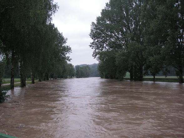 Hochwasser 2009 - 