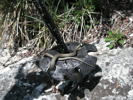 Bergsteigen @ Traunstein (NEU) - 