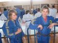 augsust 2008 in krk - 