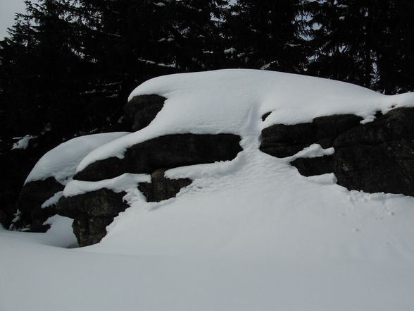 14.03.09  Schneeschuhtour am Bärenstein - 