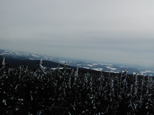 14.03.09  Schneeschuhtour am Bärenstein - 