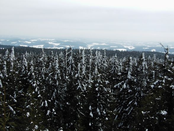 14.03.09  Schneeschuhtour am Bärenstein - 