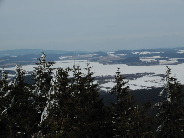 14.03.09  Schneeschuhtour am Bärenstein - 