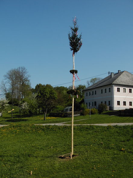 Unser Maibaum 2009 - 