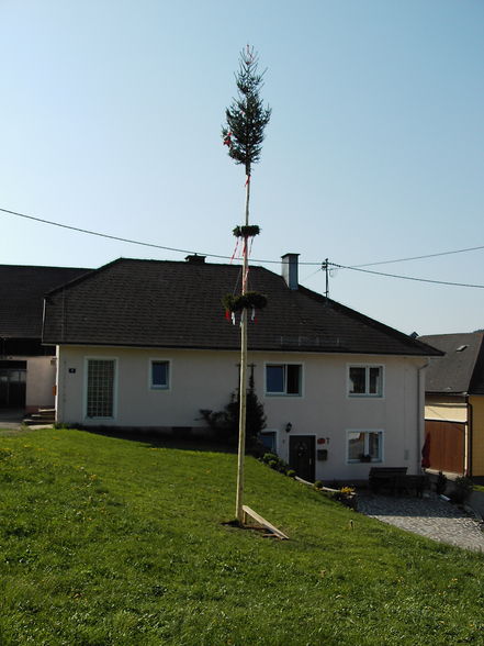 Unser Maibaum 2009 - 