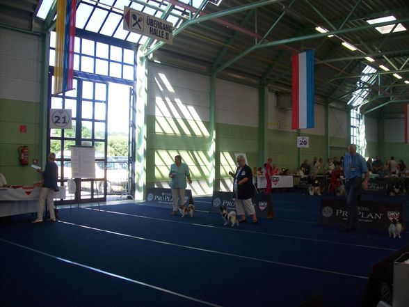 IHA Oberwart 2009 - 