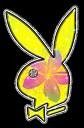 playboy - 