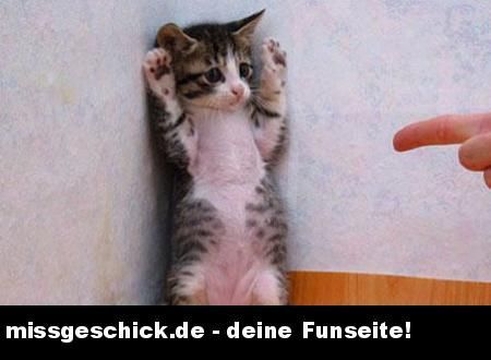 noch mehr fun - 