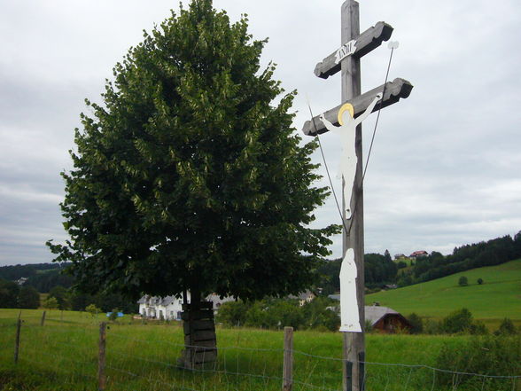 Fuschlsee Früher 2008 - 